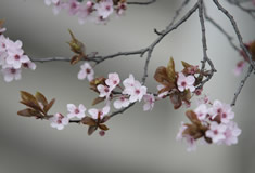Gemeinschaftspraxis Zahnärztinnen Unna